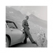 James Bond (Aston Martin)