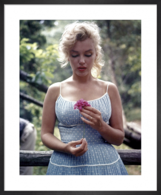 Marilyn Monroe - poster Studio Publicity Stil
